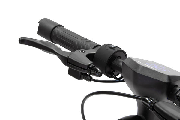 ARGENTO AG30