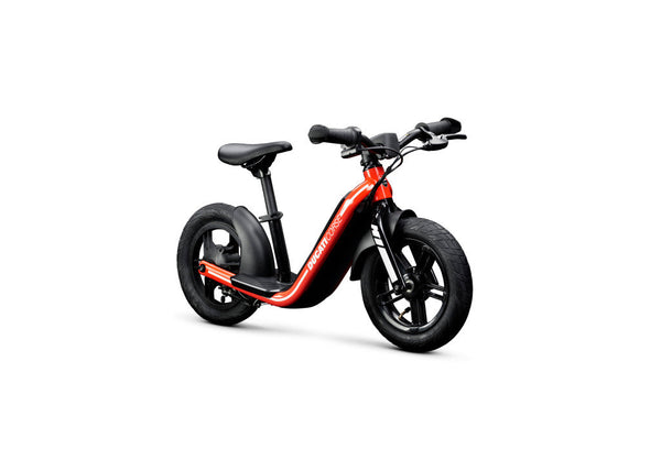Ducati E-Moto