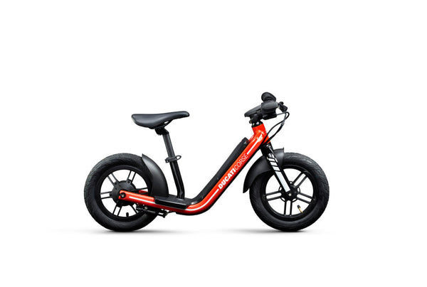 Ducati E-Moto