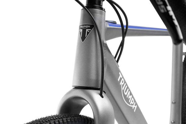 TRIUMPH TE-Sprint